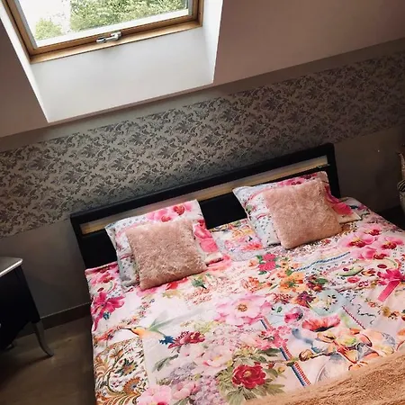 Daire Loft D Isa Avec Wifi Netflix Gesves
